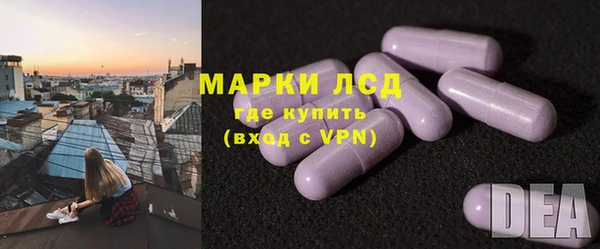 гидра Михайловка