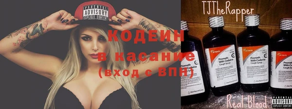гидра Михайловка