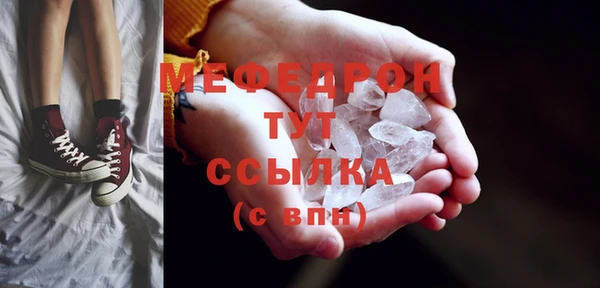 гидра Михайловка