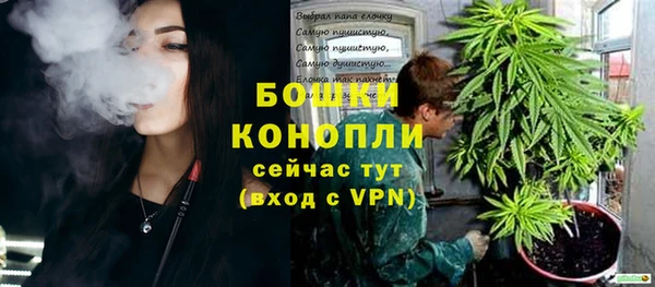 трава Михайловск