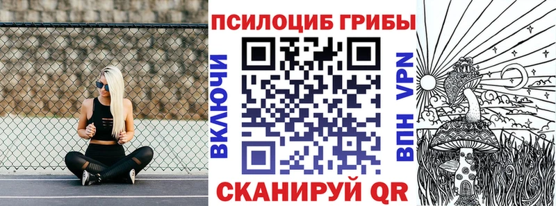 площадка какой сайт  Канск  Псилоцибиновые грибы ЛСД 