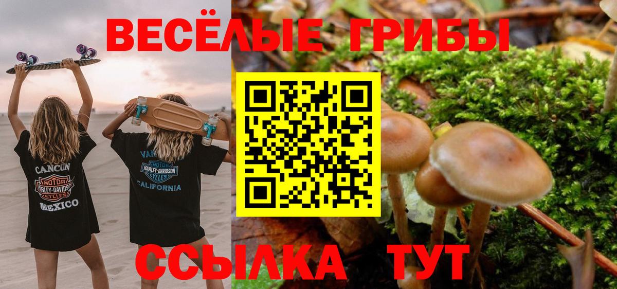 ГАШ  Гашиш  Меф   МЕФ  COCAIN  ЭКСТАЗИ  Канск  Вход с VPN  Каннабис 