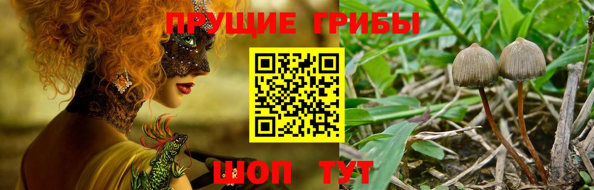 купить  сайты  Галлюциногенные грибы ЛСД  Вход с VPN  Галлюциногенные грибы Psilocybe  Канск 