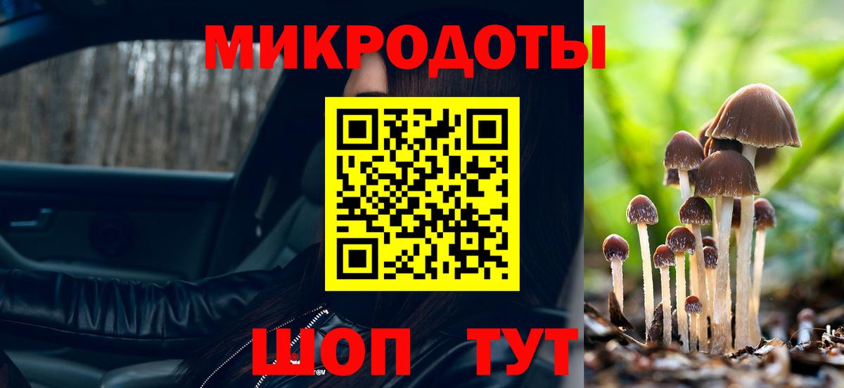 Псилоцибиновые грибы прущие грибы Канск