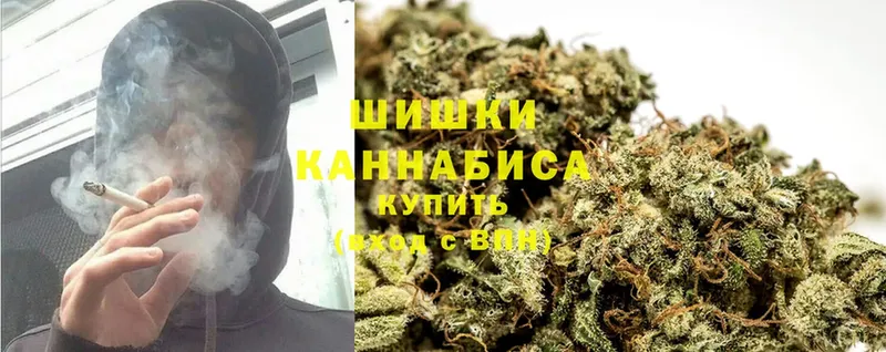 где купить   Канск  Бошки марихуана OG Kush 